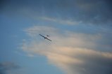 thumbnails/003-IMG_9874.JPG.small.jpeg