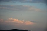 thumbnails/004-IMG_9881.JPG.small.jpeg