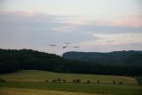 thumbnails/008-IMG_9905.JPG.small.jpeg